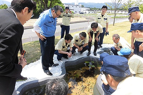 TDK秋田 北上工場における絶滅危惧種ミナミメダカの飼育