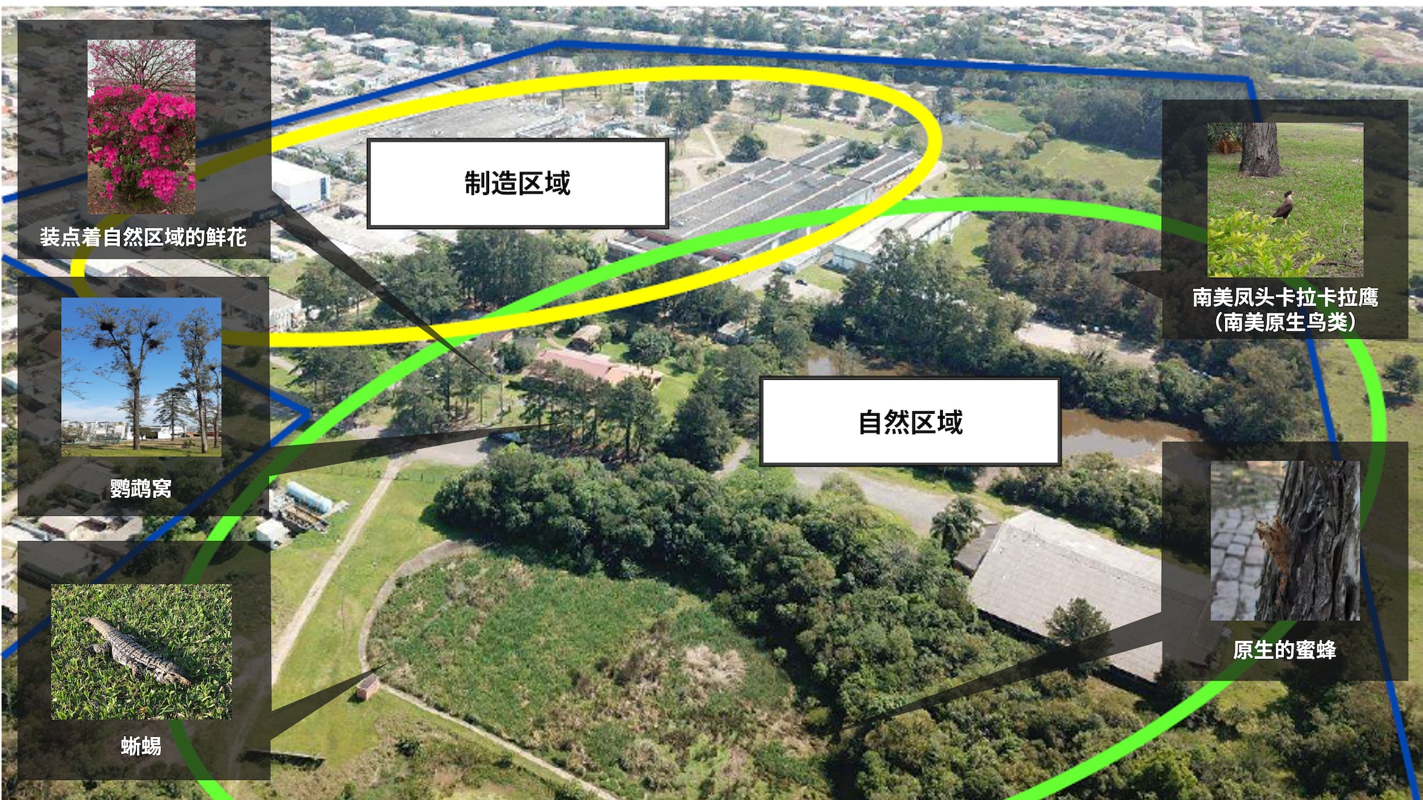 工場敷地内併設の自然エリア（ブラジル）