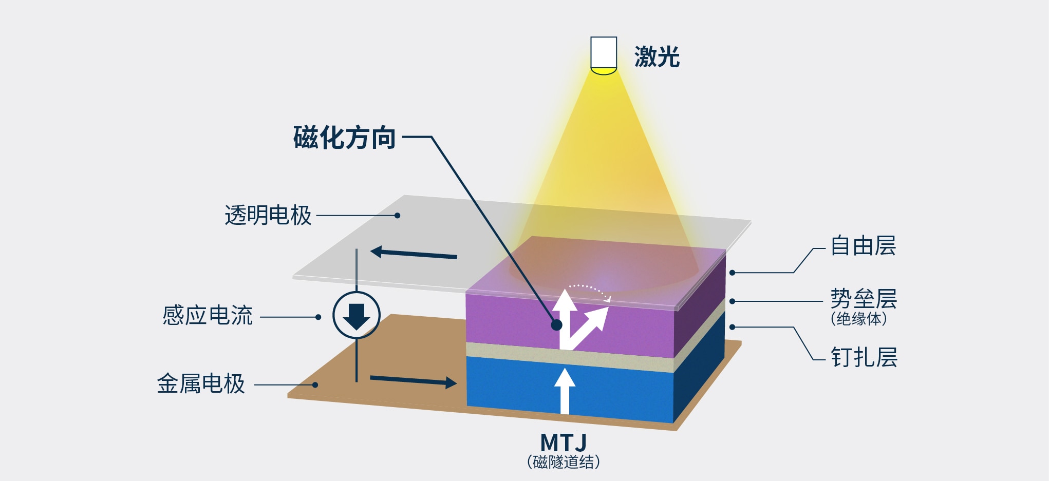 自旋光电探测器结构