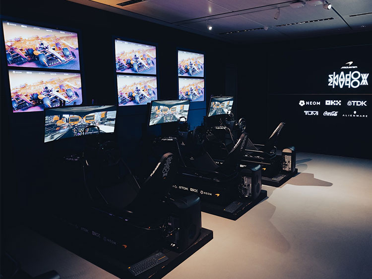 F1模拟赛车所用模拟器