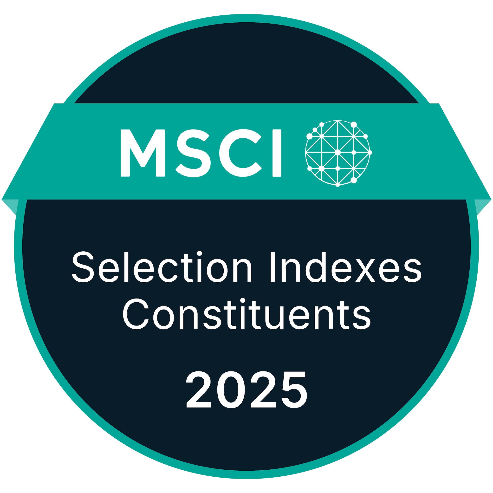 MSCI 2024