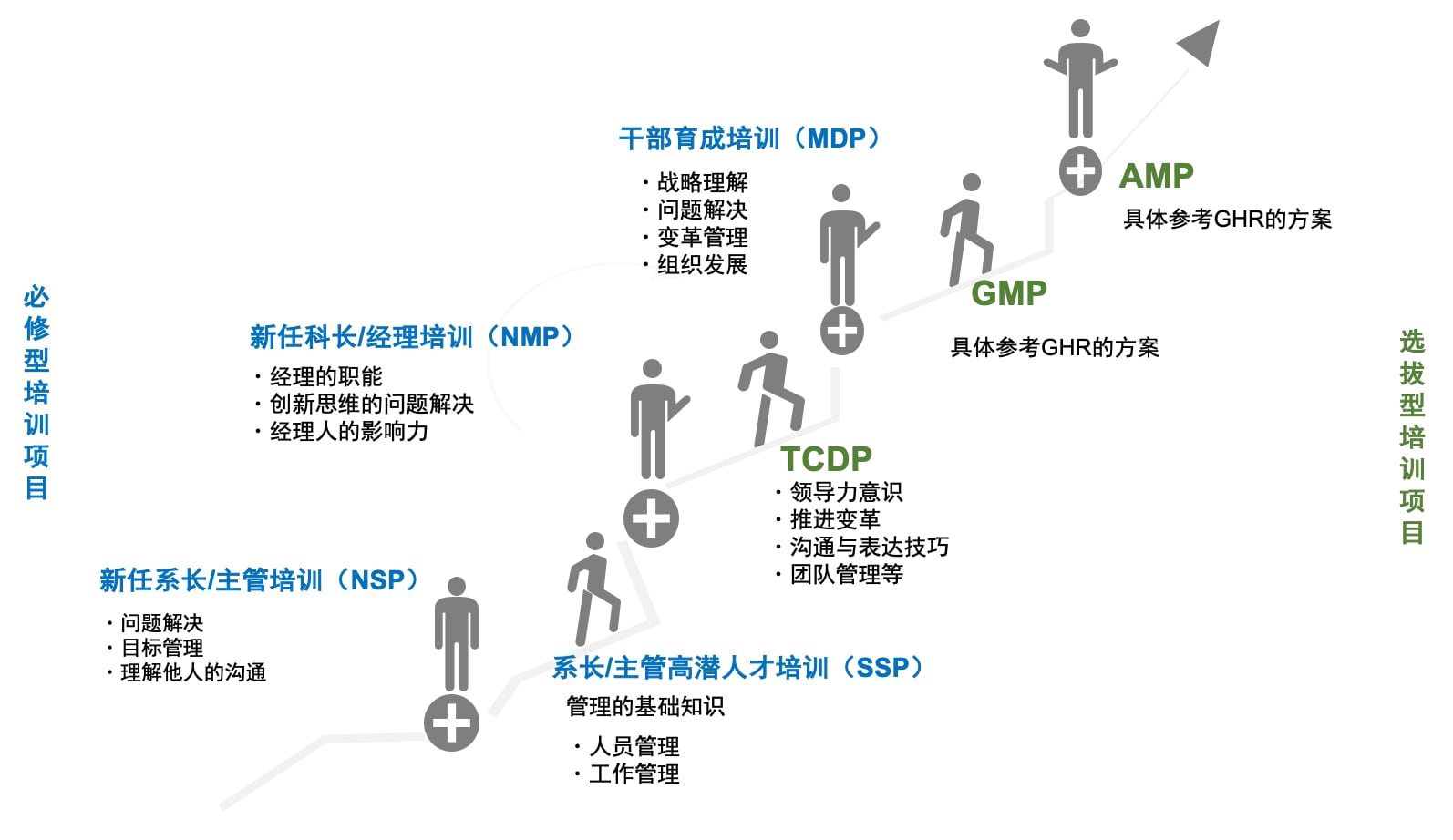 TCN阶层别培训体系图