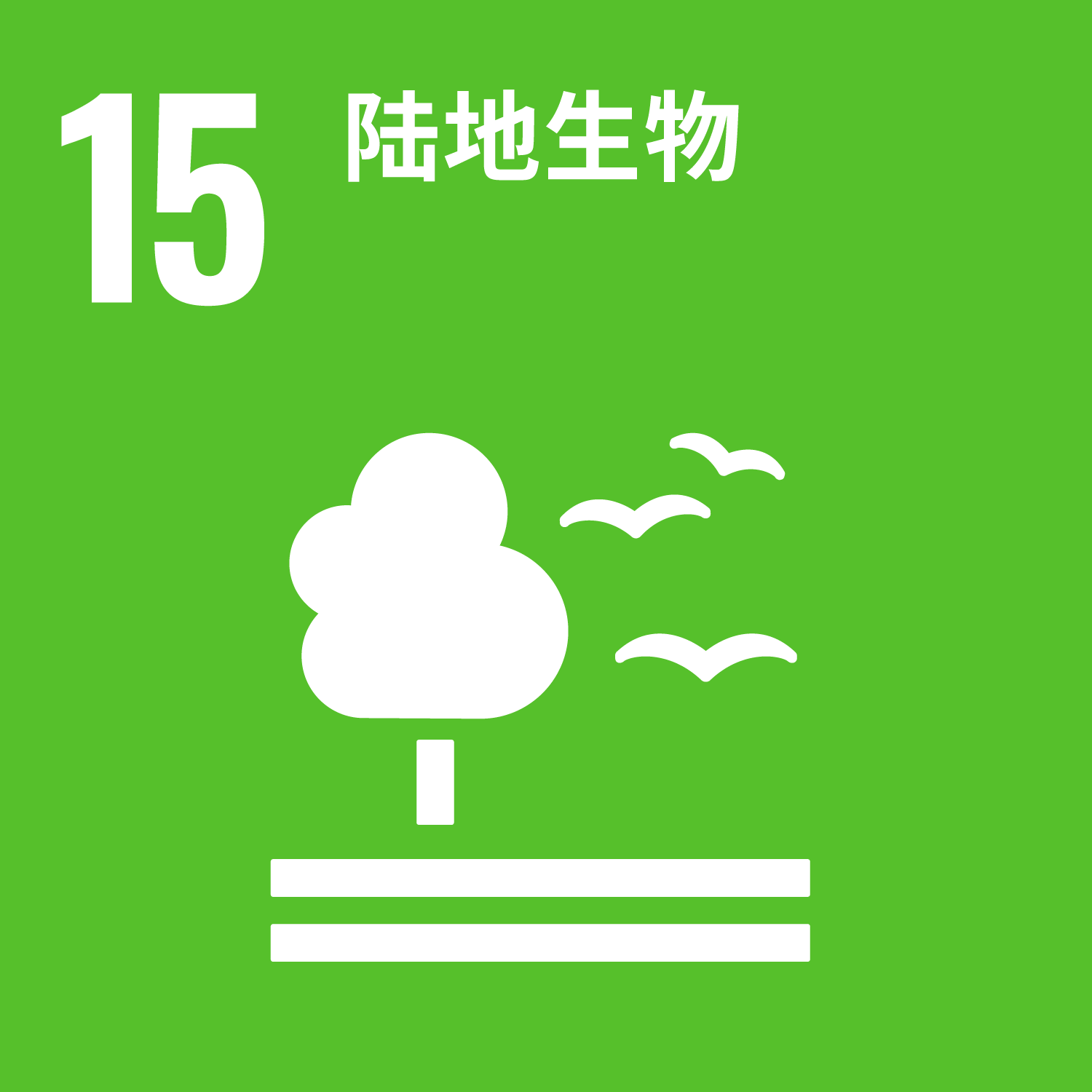 SDGs15