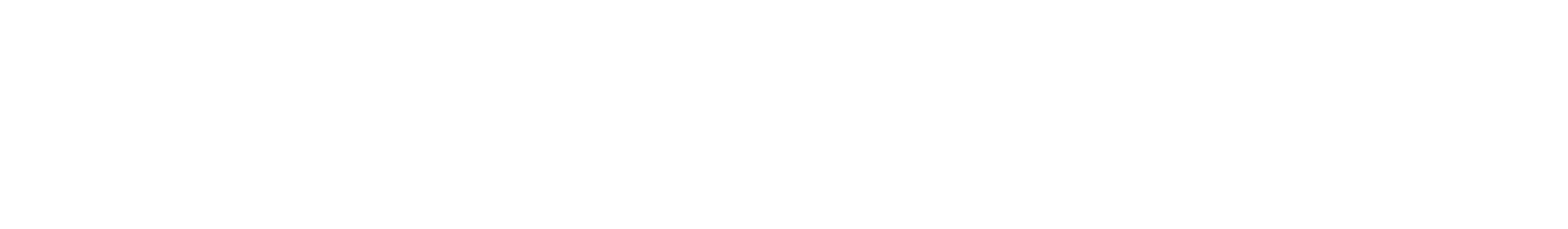 TDK WITHIN的标志